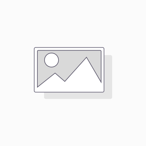 [PF-0031344] Witness Piece N-BASF2 Double Side Polished 25x2